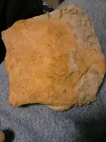 1454570688399.webp