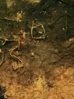 ImageUploadedByTreasureNet.com1453870877.802938.webp ImageUploadedByTreasureNet.com1453870877.802938.webp