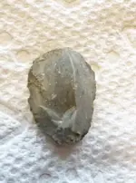 ImageUploadedByTreasureNet.com1454573765.940616.webp