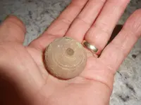 ball 003.webp