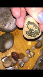 ImageUploadedByTreasureNet.com1457576598.455855.webp