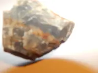 DSCN1754.webp