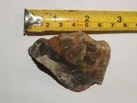 DSCN1757.webp