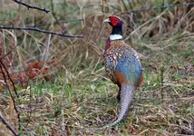 00101_edited-1.webp