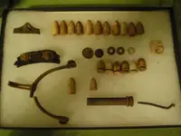 todays finds.webp