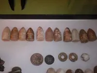 todays finds 2.webp