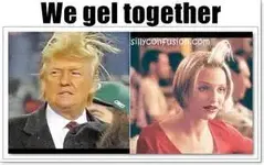 thHULA9HSP donald.webp thHULA9HSP donald.webp