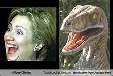 th17DFVHBP hilary 1.webp