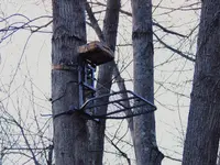 DSCN9702.webp