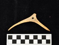 archaic bone tool.jpg