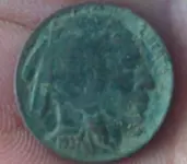 1937 buffalo nickel.webp