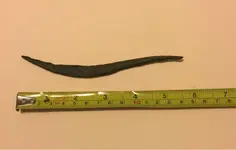 ImageUploadedByTreasureNet.com1457629062.565773.webp