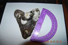 DSC_0403.webp