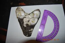DSC_0404.webp