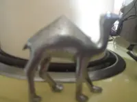1456982933775.webp