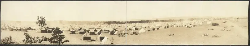 Copy of 6a31058r.webp