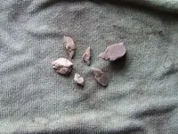 DSCF0910.webp