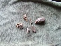 DSCF0912.webp