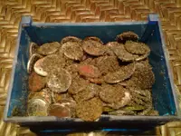 20160228_191143 1.webp 20160228_191143 1.webp