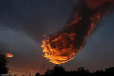 309F185400000578-3419473-image-a-156_1453913928805.webp