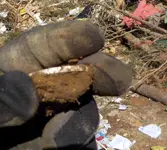 DSCN2660.webp