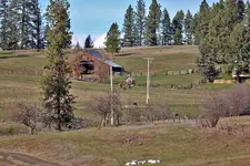 00515.webp