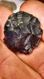 1457020136231.webp