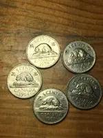 ImageUploadedByTreasureNet.com1454631687.686949.webp ImageUploadedByTreasureNet.com1454631687.686949.webp