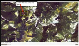 Red Spot.webp