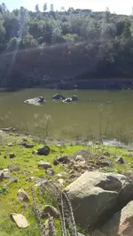 1455345596089.webp