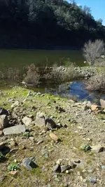 1455345608779.webp