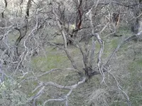 1456638397305.webp