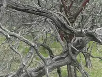 1456638413252.webp