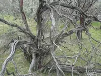 1456638429370.webp