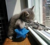 kitty_sniper.jpg