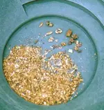 goldinpan2.webp