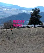 ROCKY-ROAD-2.webp