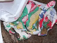 DSCF7550.webp