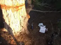 DSCF7547.webp