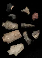 indian_artifacts_nc.webp