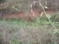view at top of butts.webp