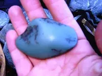 strange silver half 2012.webp