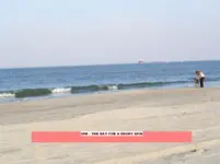 BF11211.webp