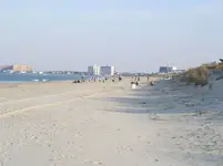 BF11212.webp