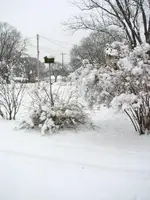 12-31-2007 Winter Scene 024.webp