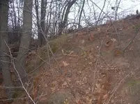 privy hill 2.webp