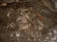 broken pottery jars.webp