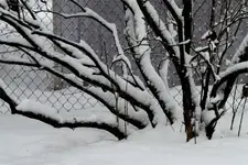 HSPICTURES 629 (Changed).webp