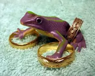froggy rings 003.webp