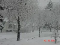 winter storm 2007.webp